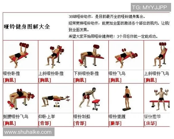 坚持练哑铃多久才能看到明显肌肉增长的效果与建议